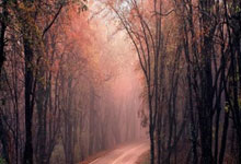 欧洲杯比分结果表怎么看？能从中发现哪些比赛规律？