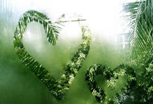 欧洲杯决赛直播哪里可以免费观看？