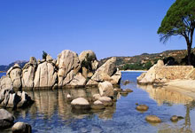 2024年全国女排冠军赛最新战况如何？各队表现有哪些亮点？